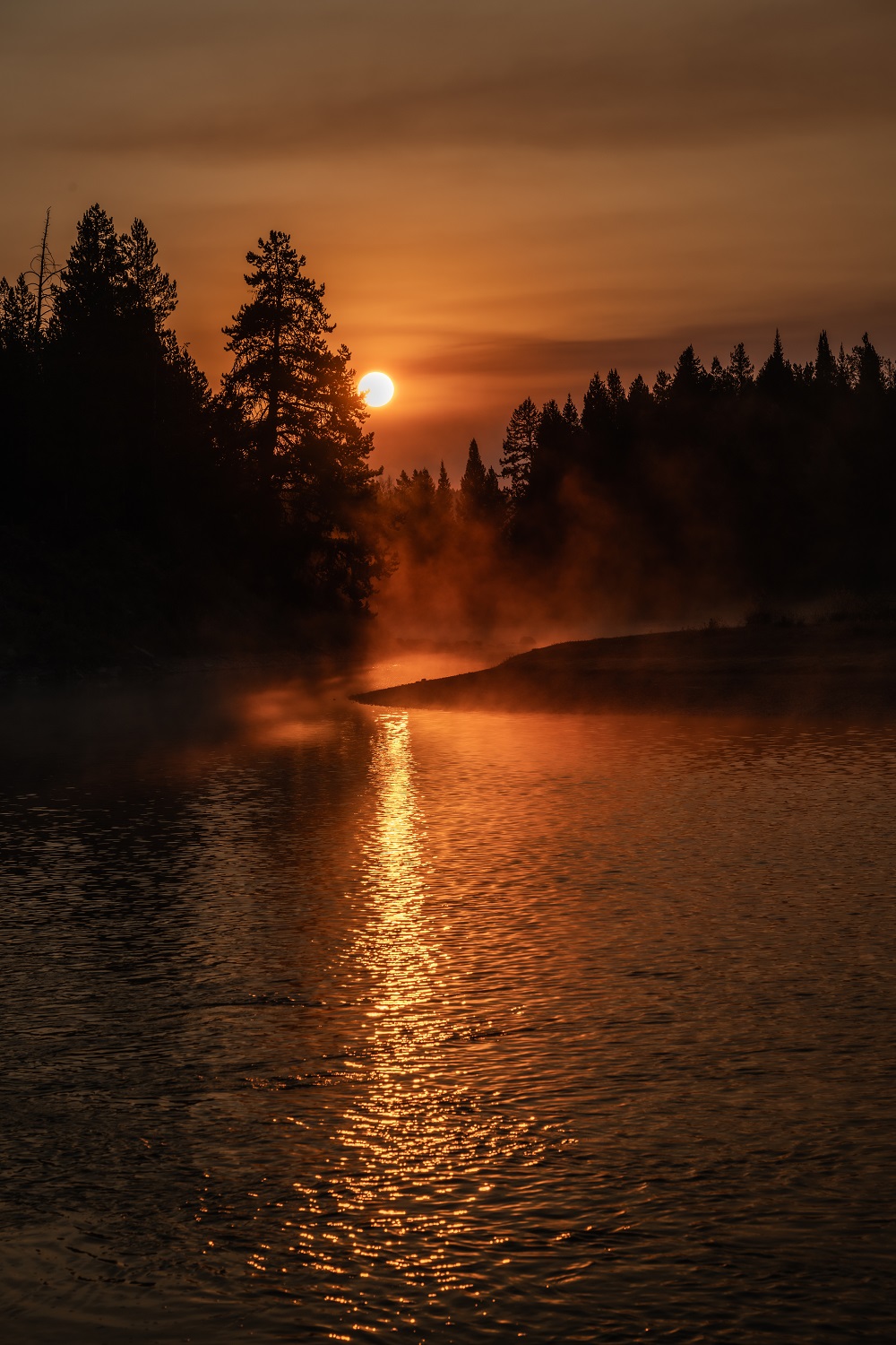 Early morning misty river sunrise with golden light through trees, jackson wyoming, landscape photography by Tammy Jaquith Photography